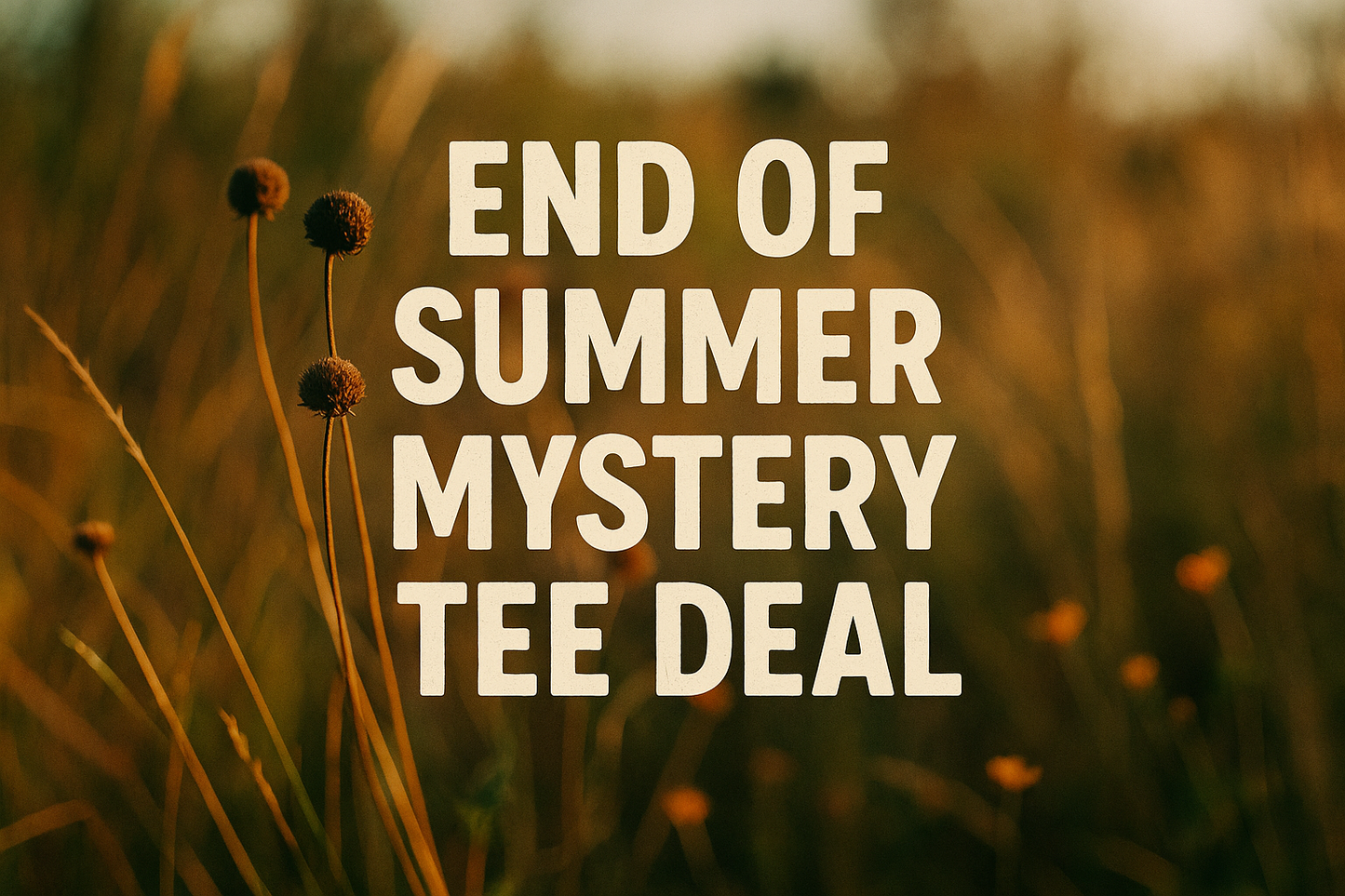 End Of Summer Mystery Tee