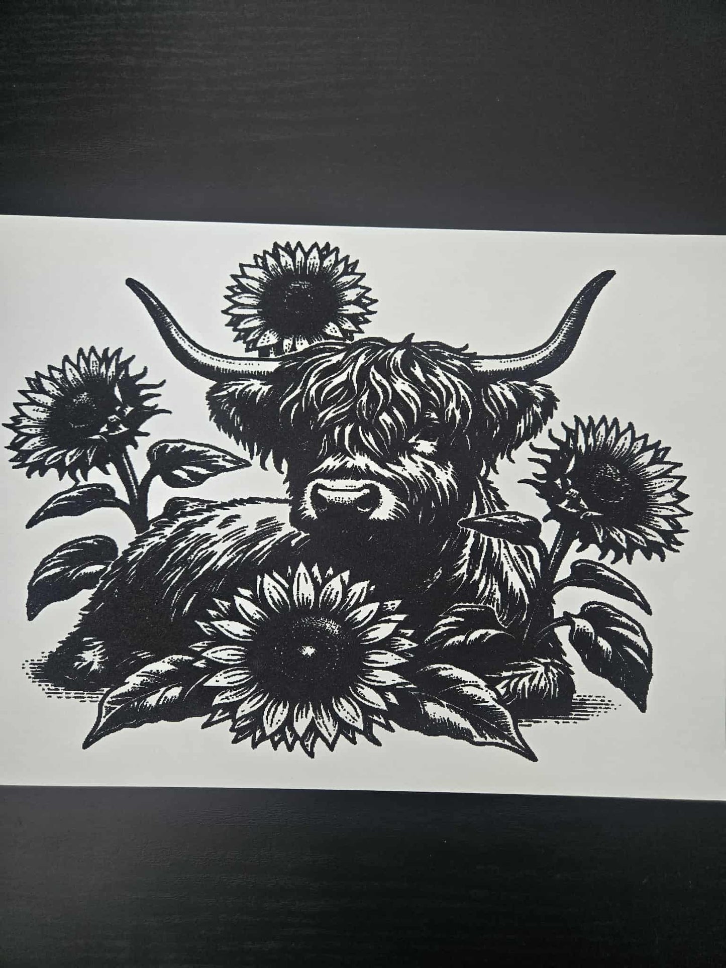 Animal Designs